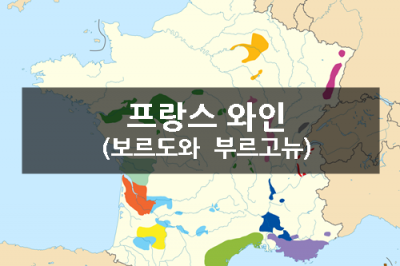 프랑스와인(보르도와 부르고뉴)